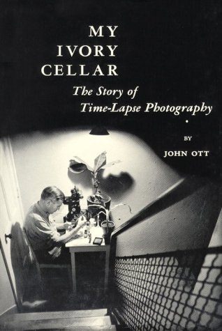My Ivory Cellar