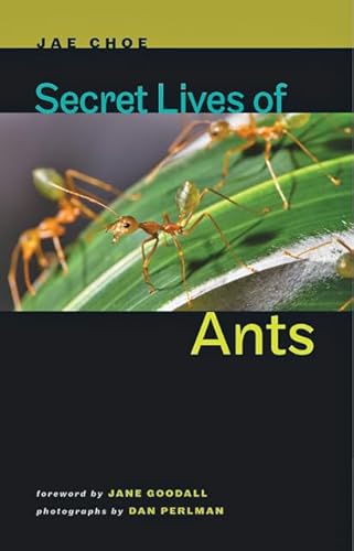 Secret lives of ants