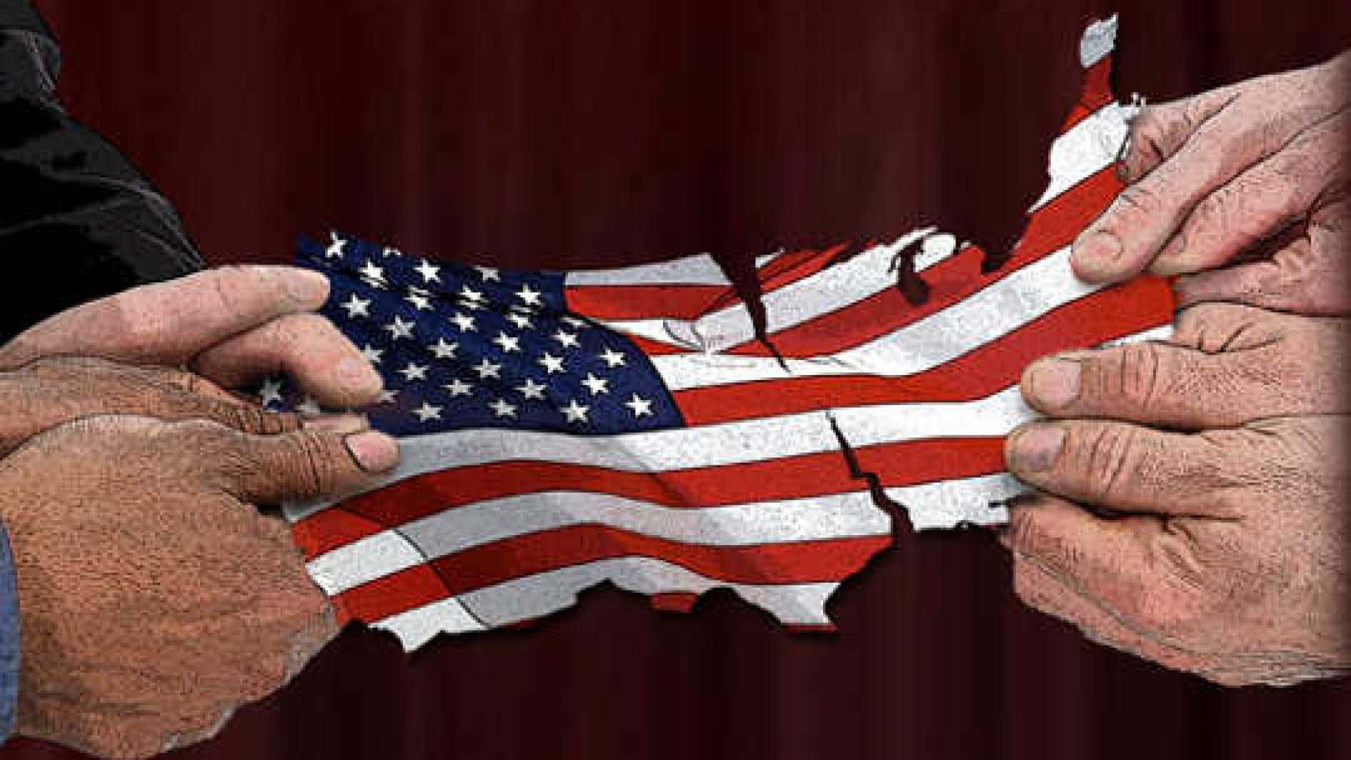Political Polarization's Impact on Science Book Choices